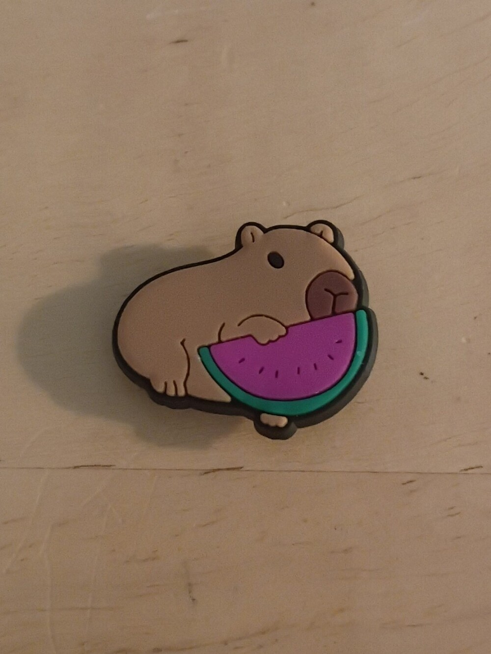 10 for $10 Jibbitz Croc Charms - Capybara w/ Watermelon 2 - New Shoe Charm